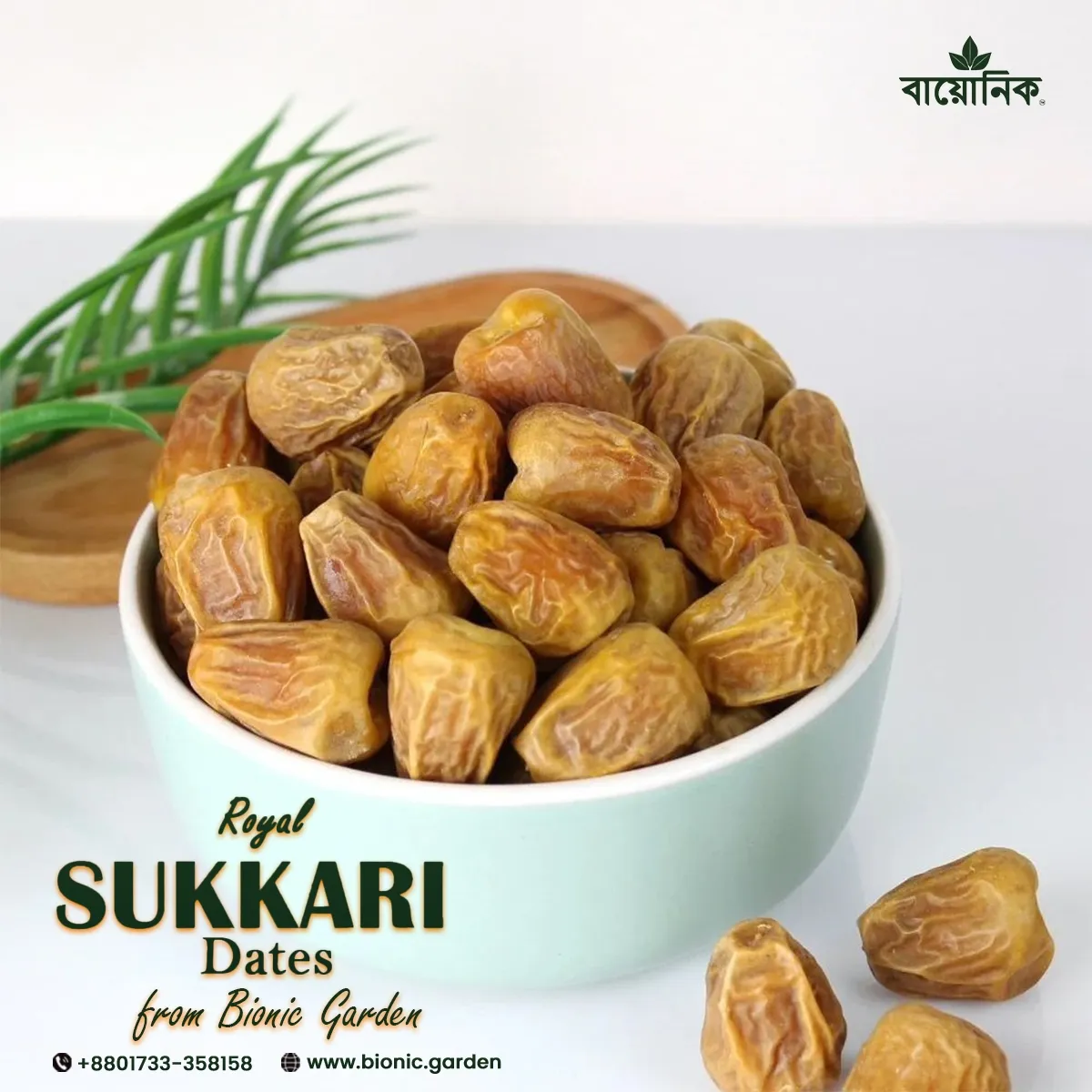 Sukkari - সুক্কারি খেজুর (১ কেজি)