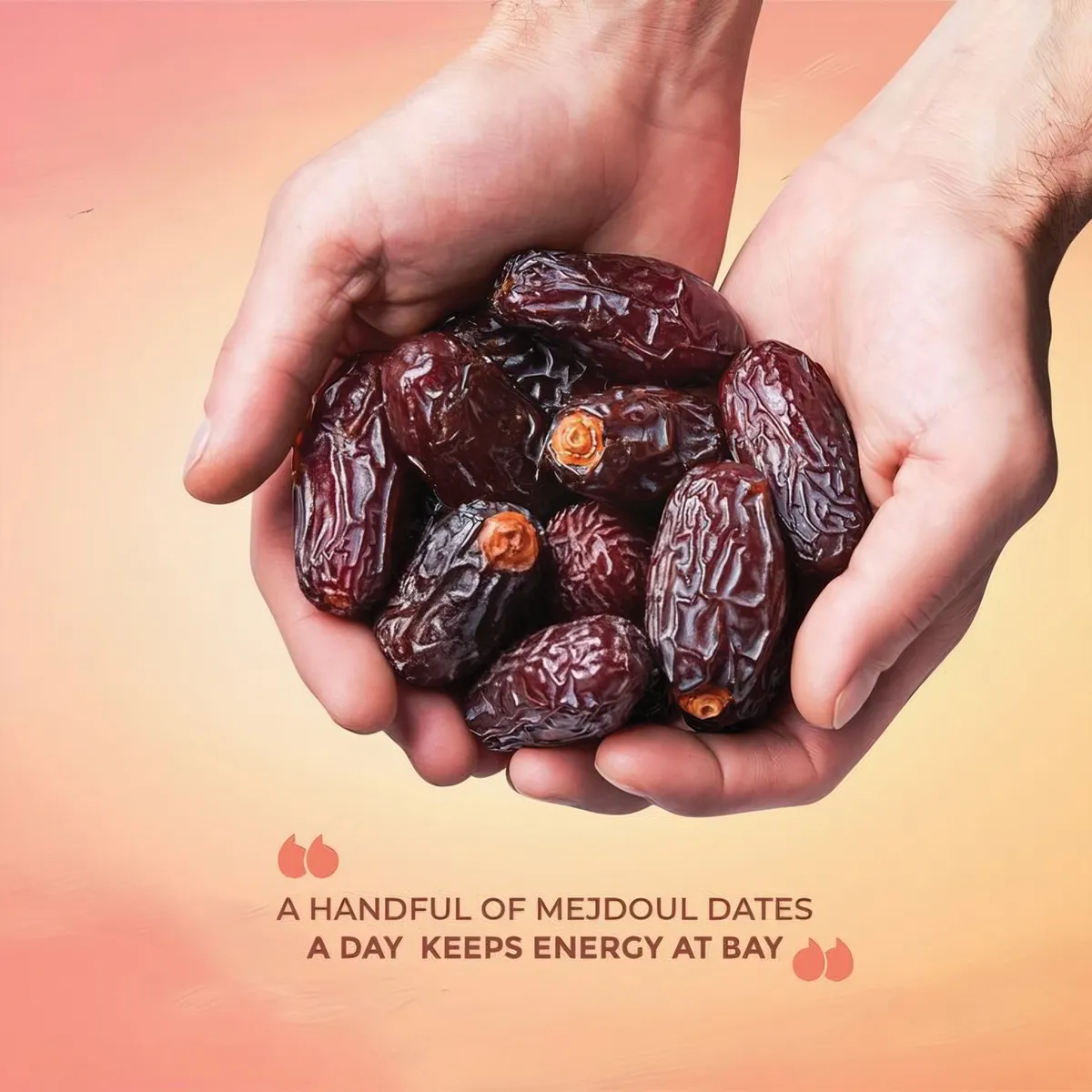 Egyptian Medjool Large  - মেডজুল বড় খেজুর (১ কেজি)